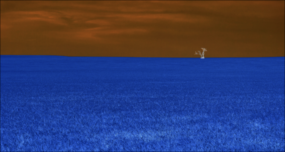 Photo of wheat fields with a blue sky and a single tree in the distance with inverted colors