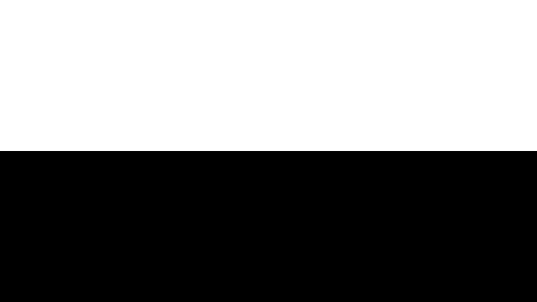 Shadertoy canvas displaying two colors split by a horizontal line through the middle of the canvas. The top half the canvas is solid white, and the bottom half is solid black.