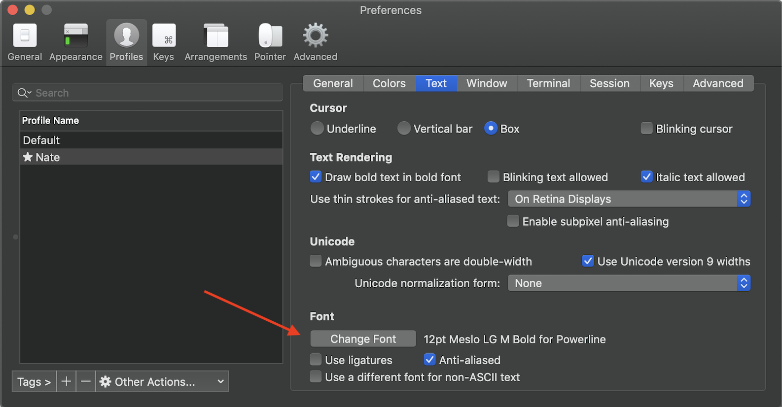 iTerm2 preferences to change font settings