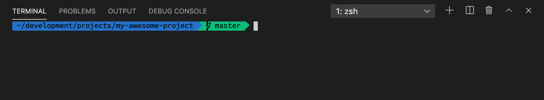 finished look of the agnoster theme with oh my zsh