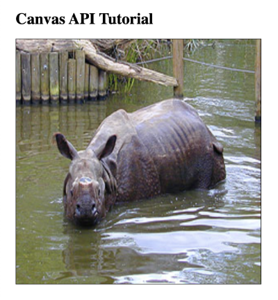 HTML Canvas with picture of Rhino taking up space of entire canvas